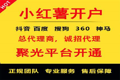 揭秘百度包年竞价优势：成功案例深度解析